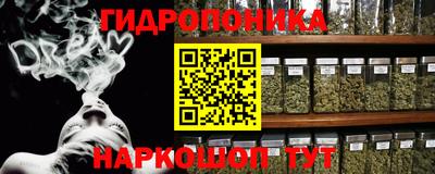 a pvp Боровичи